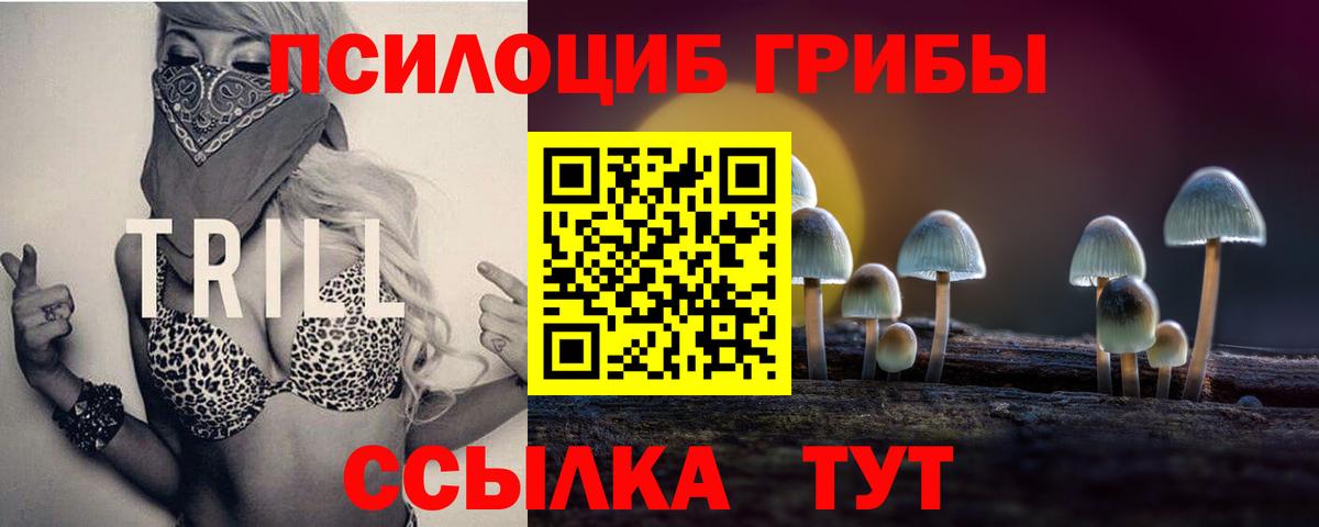 Галлюциногенные грибы Psilocybe  Вход с VPN  Галлюциногенные грибы мицелий  Карталы 